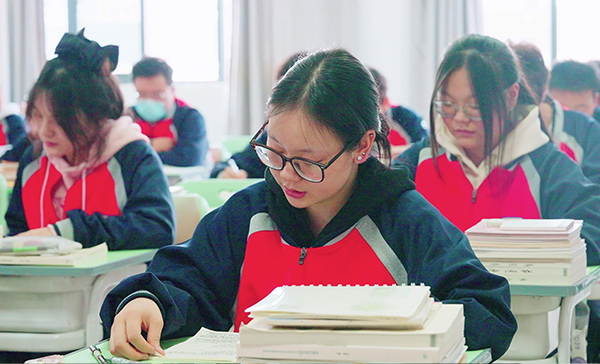 定制专属方案